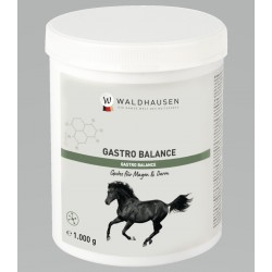 Waldhausen Gastro Balance - 1 kg