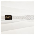 Υπόσαγμα BR Dressage C-Wear Ivory Coast