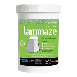 Laminaze - Λαμινίτης