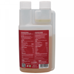 Kevin Bacon's Zen Energy Kevin Bacon's Zen Energy