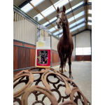 Kevin Bacon's Zen Energy Kevin Bacon's Zen Energy