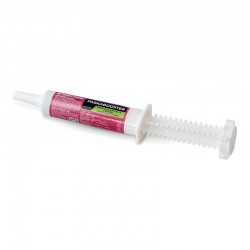 Paskacheval Πάστα Ενέργειας 30ml