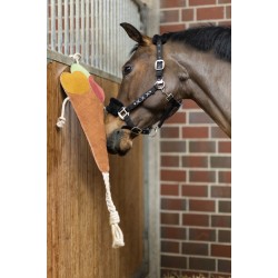 Pony/horse's toys