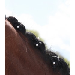 Πέρλες για τη χαίτη του αλόγου Πέρλες για τη χαίτη του αλόγου