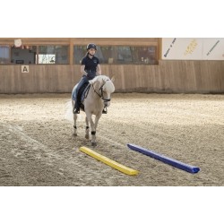 Μαλακή Πλαστική Βαλβίδα (soft pole)  Μαλακή Πλαστική Βαλβίδα (soft pole)