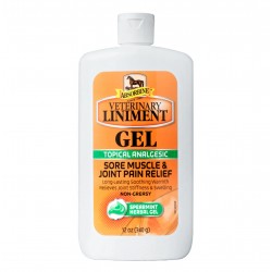 Absorbine Gel 340g - Ανακούφιση πόνου σε Μύς & Τένοντες