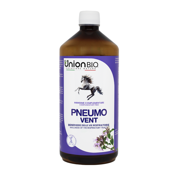 PNEUMO VENT balsamic solution  1L