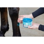 Cooling gel Magic Brush Equimint