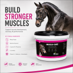 Muscle-Care