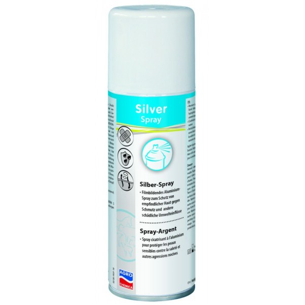 Silver Spray 200ml - Σπρέι Αλουμινίου