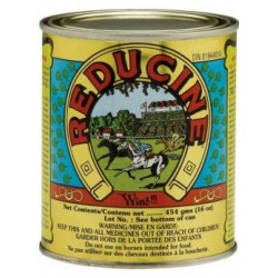 Reducine 473ml - Ανακούφιση από δυσκαμψία & πόνο 