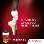 Paskaflex για τις αρθρώσεις Paskacheval 900gr