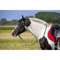 Κεφαλαριά Συνθετική Norton Κεφαλαριά Συνθετική Norton