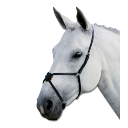 Επιρίνιο ''Star''