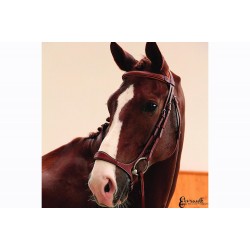 Κεφαλαριά Butet