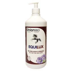 Equilux