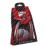 Σπιρούνια "Prince of Wales" Σπιρούνια "Prince of Wales"