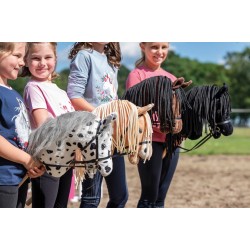 Hobby horses 