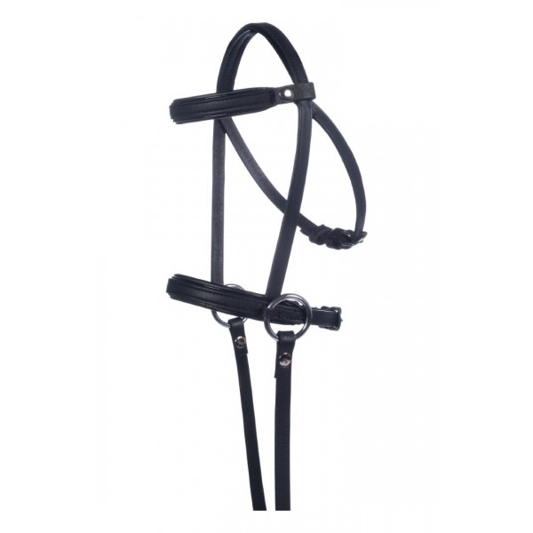 Κεφαλαρια  Hobby horse 