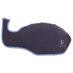 Ίππευσης - Γυμναστικής