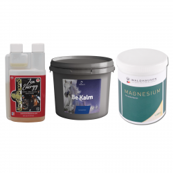 Νευρικό Σύστημα - Άγχος