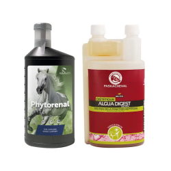 Πεπτικό Σύστημα - Συκώτι