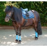 Κεφαλαριά Shetland Pony "Shetty Bit" Κεφαλαριά Shetland Pony "Shetty Bit"