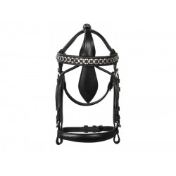 Κεφαλαριά Αμαξοδήγησης με παρωπίδες "Presentation"