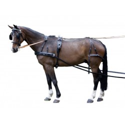 Μονή Σαγή Αμαξοδήγησης - "Presentation"