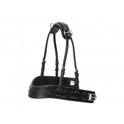 Μπροστινέλα Μονής Σαγής "Presentation"