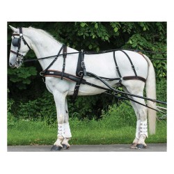 Σετ Μονή Σαγή Αμαξοδήγησης WebZ