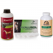 Αναπνευστικό - Ανοσοποιητικό Σύστημα (7)