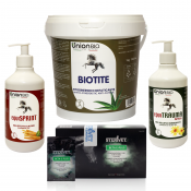 Μυικό - Αρθρώσεις - Τένοντες (46)