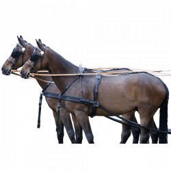 Διπλή Σαγή Αμαξοδήγησης "Presentation"