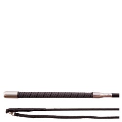 Μαστίγιο συραγωγέα ''Callisto''